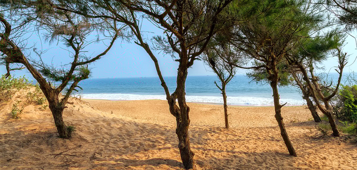 Chandrabhaga Beach, Odisha