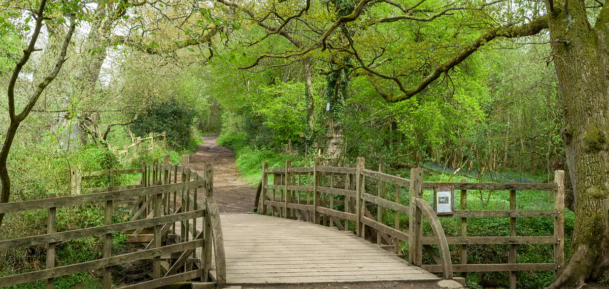 The Pooh Sticks bridge in Ashdown Forest was built in 1907 and originally called Posingford Bridge
