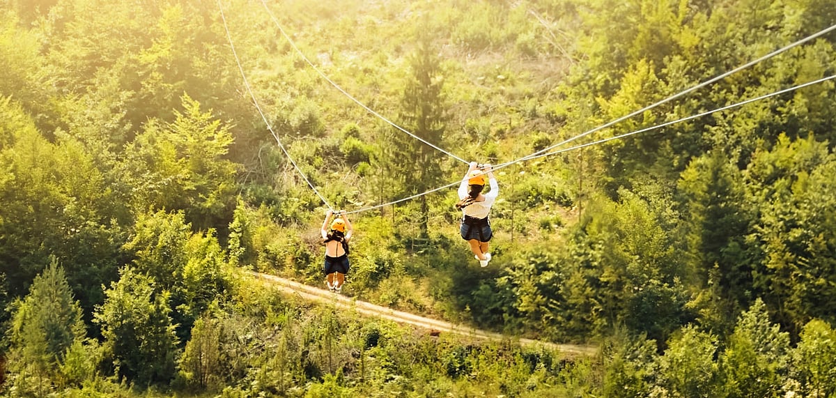 Ziplining is one of the adventure sports available at the Forest Escape Festival