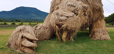 icosha/Shutterstock.com : Gigantic creations from the Wara Art Festival