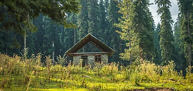 29 rest houses and inspection huts will be up for booking, May 29 onwards