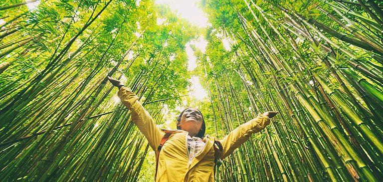 Forest exploration is rewarding for all age-groups, with learnings that go beyond books - Shutterstock