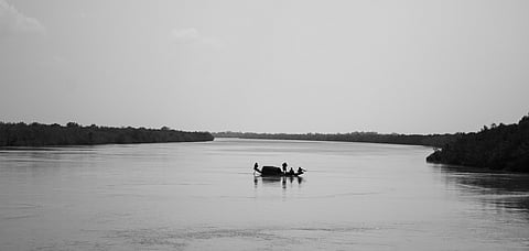 The Sundarbans are the world's largest mangrove forest, located in the Bay of Bengal delta
