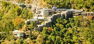 Dehradun has seen severe destruction of its green cover in the past decades