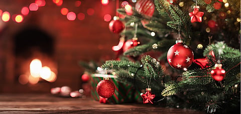 Take part in a tree lighting ceremony
