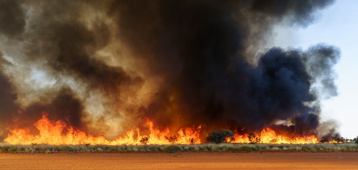 Bush fires in Australia have wreaked havoc in the continent