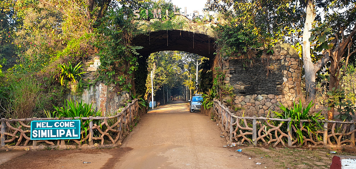 Simlipal is home to a vast number of animal, bird and plant species