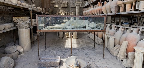 Archaeological findings from the excavation site of Pompeii