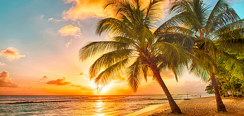 Sunset over the sea in Barbados
