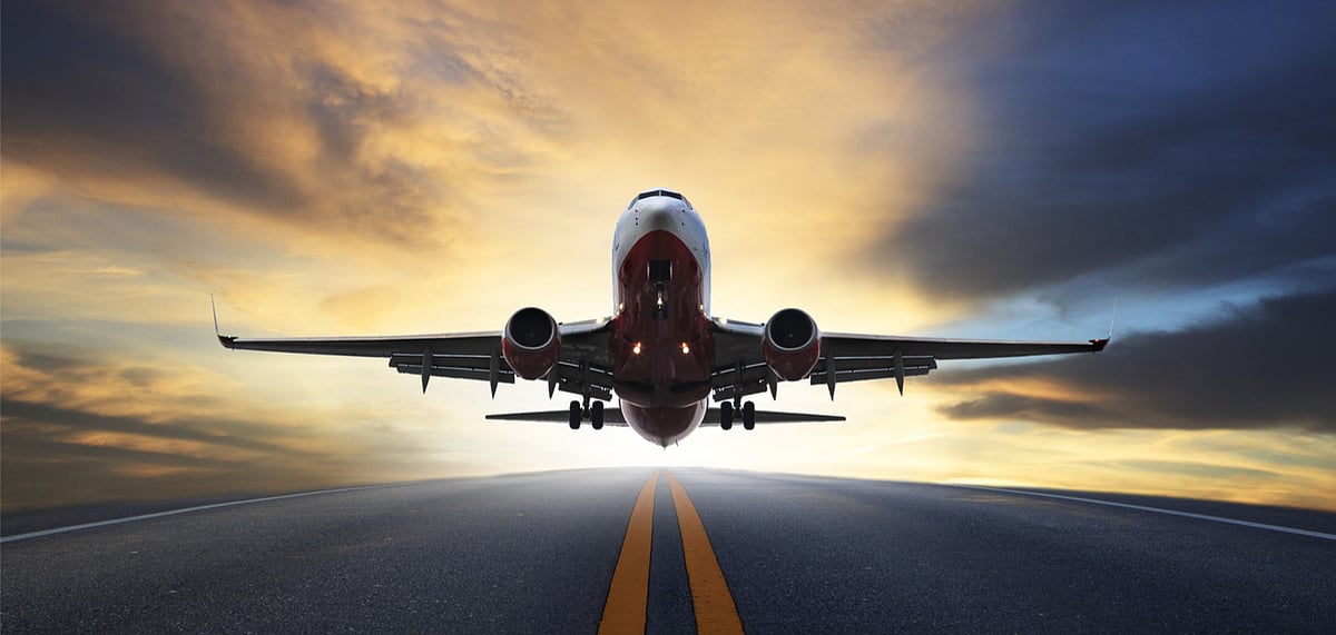 Flights from India and seven other countries have been banned for two weeks 