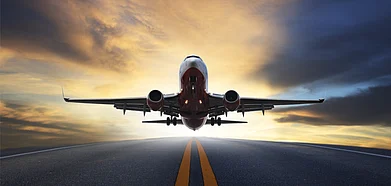 Flights from India and seven other countries have been banned for two weeks