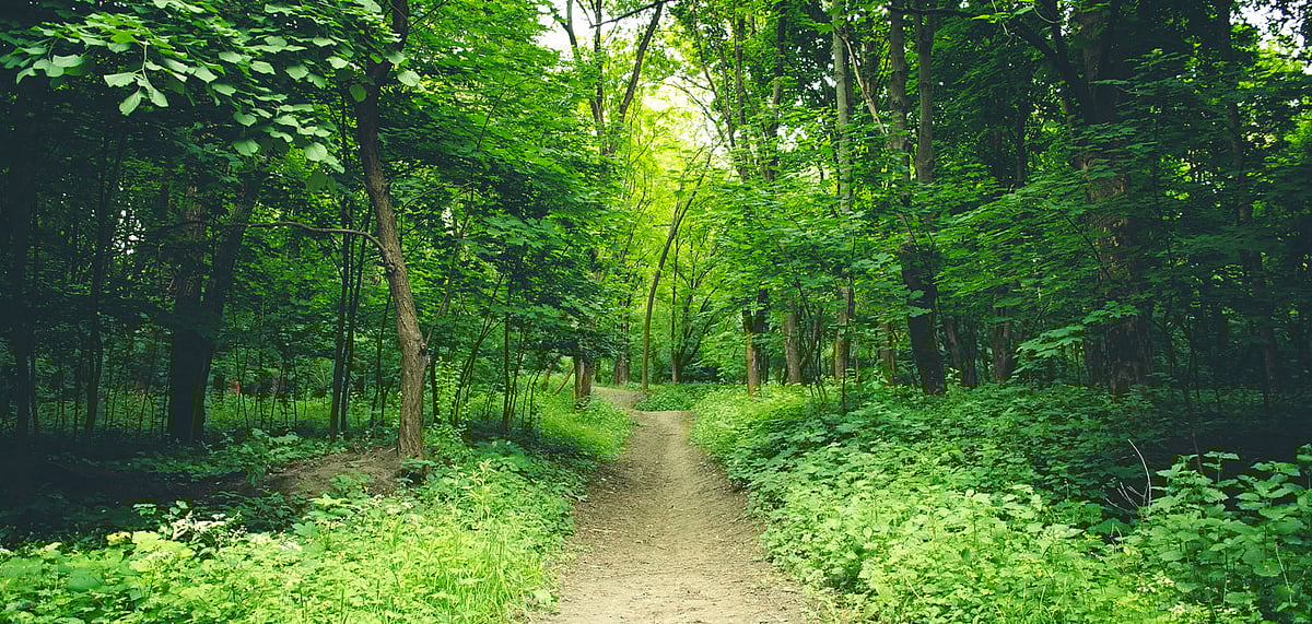 Karnataka to have 20 new eco-trails