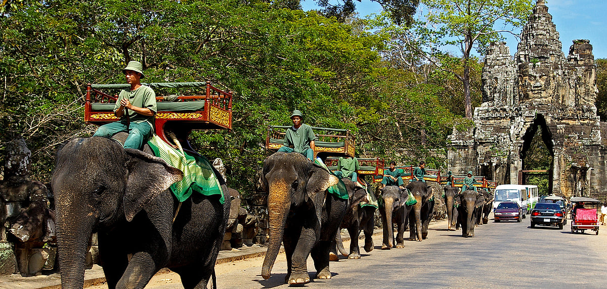 Elephant rides for tourists at Angkor Wat in Siem Reap, Cambodia