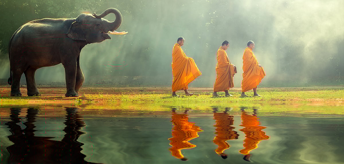 The path to enlightenment 