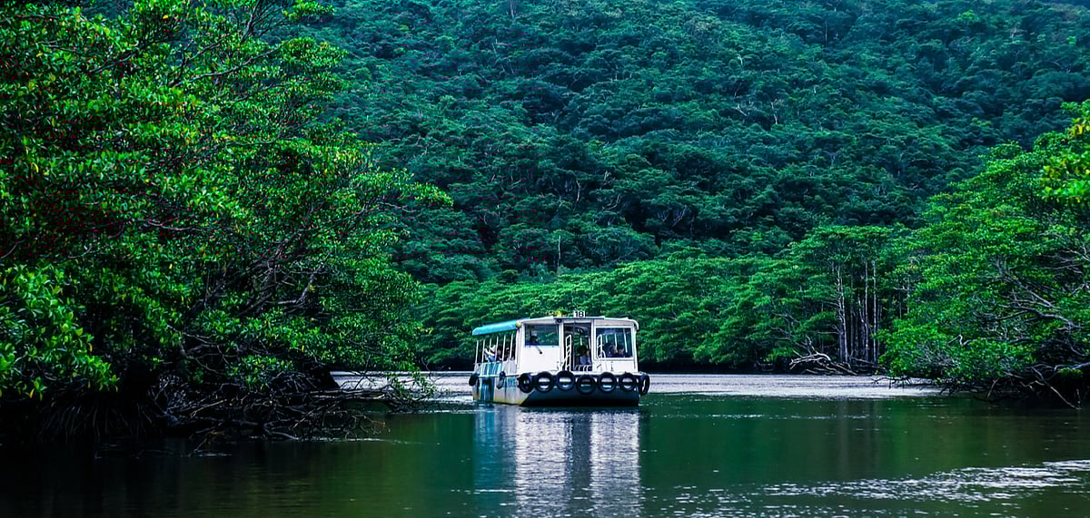  About 100 animal species on the IUCNs Red List inhabit the islands