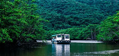 About 100 animal species on the IUCNs Red List inhabit the islands
