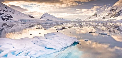 Antarctica is one of the highest warming regions in the world