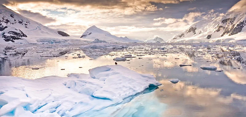 Antarctica is one of the highest warming regions in the world