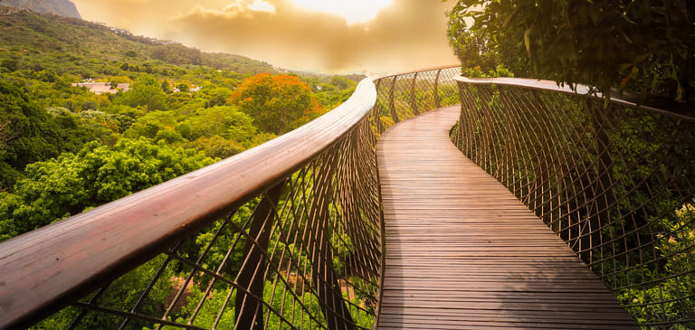 A walkway with a glass base viewing deck (Representational image) - Shutterstock