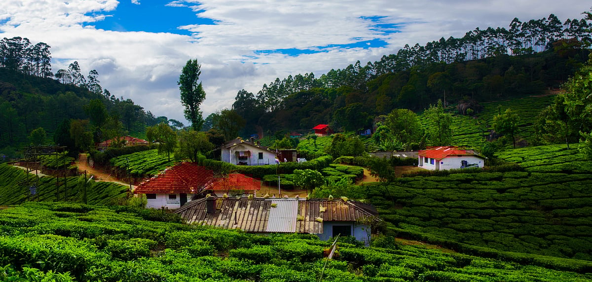 Latest attractions in Munnar now available via QR code