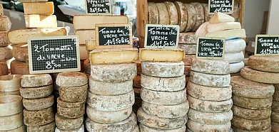 An array of cheese at a market in France