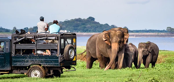 These magnificent animals should not be kept captive for our entertainment