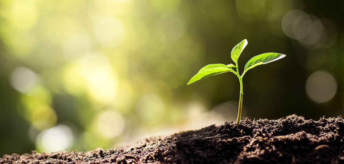 The citizens of Ethiopia surpassed the last record held by India 