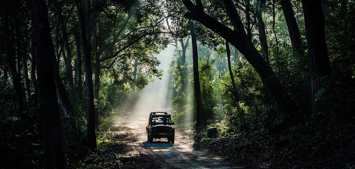 Government lifts ban on overnight stays at the Corbett National Park