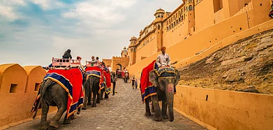 Rajasthan saw thousands of tourists in the winter