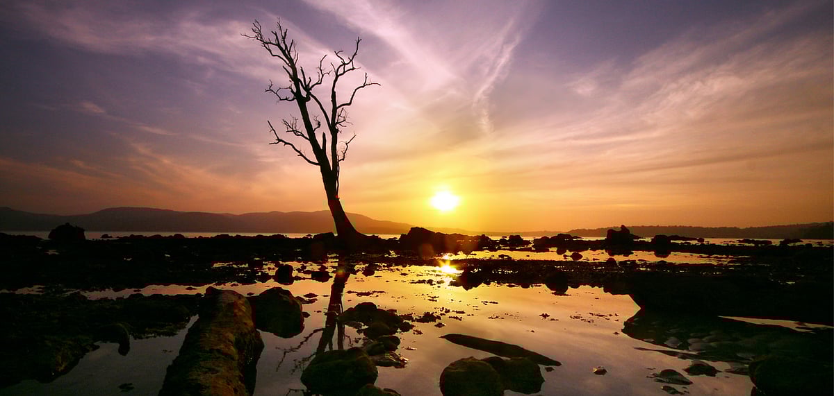 Amidst the global outbreak of COVID19 Andaman and Nicobar Islands have suspended tourist activities