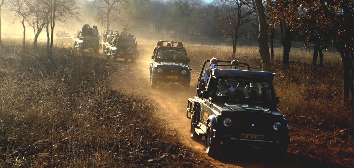 States and union territories have been ordered to close all national parks, sanctuaries and other protected areas to tourists