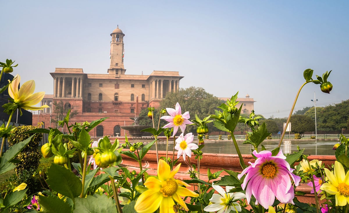 Flowers at Rashtrapati Bhavan