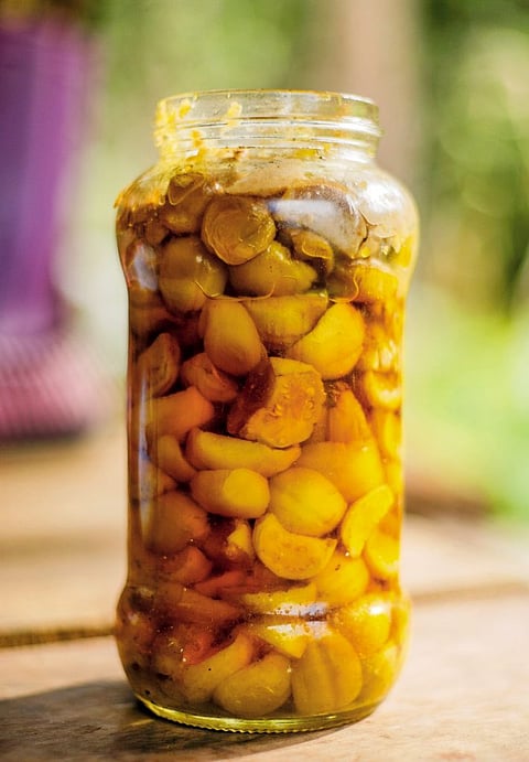 A jar of siteka pickle, which is bitter brinjal preserved in mustard oil