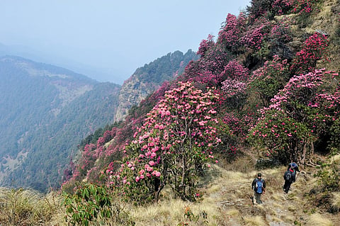 Trekking down to the village of Dhurr in the Pindar valley