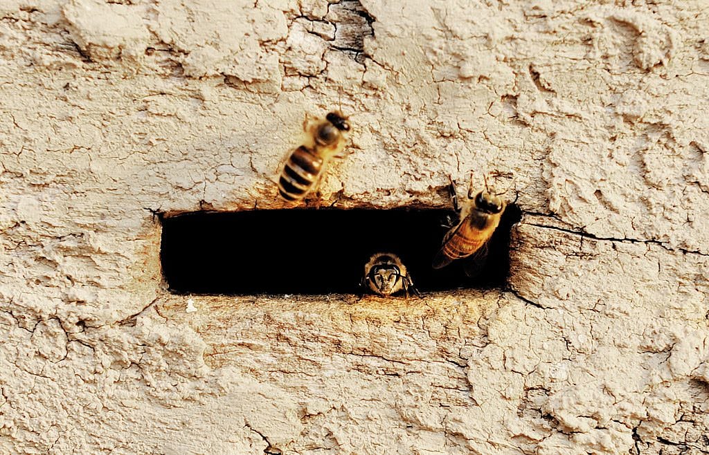 Explore nature on the way like never before