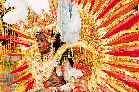 A veritable bird of paradise at the Carnival