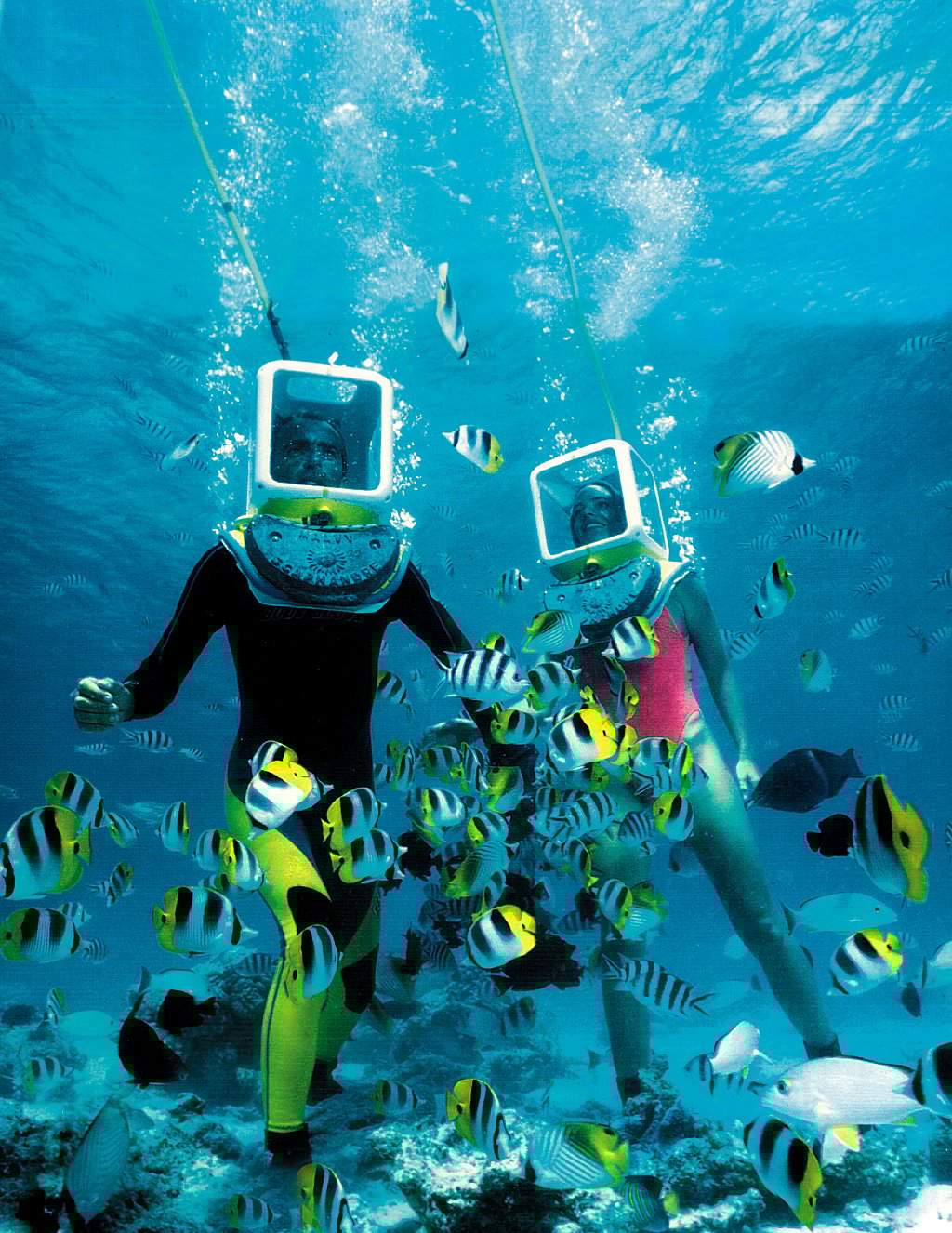 Experience underwater wonders