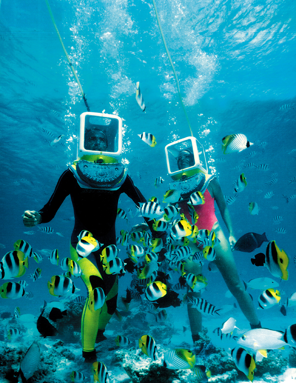 Experience underwater wonders