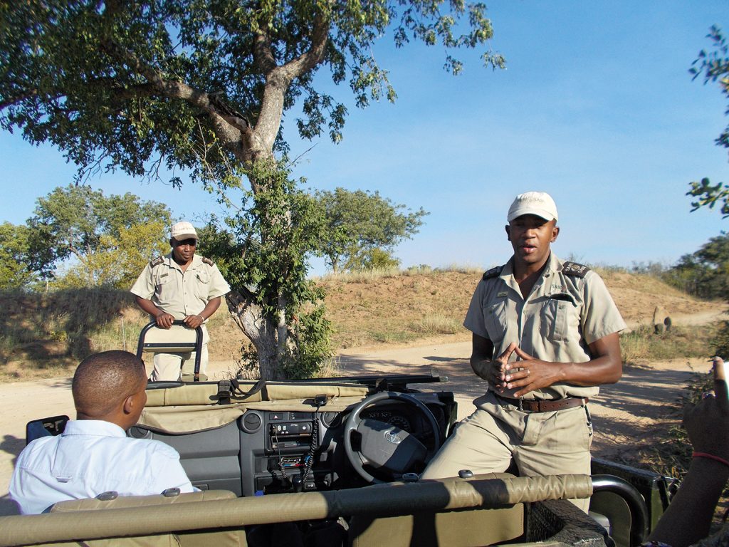 Experienced rangers accompany tourists on safaris