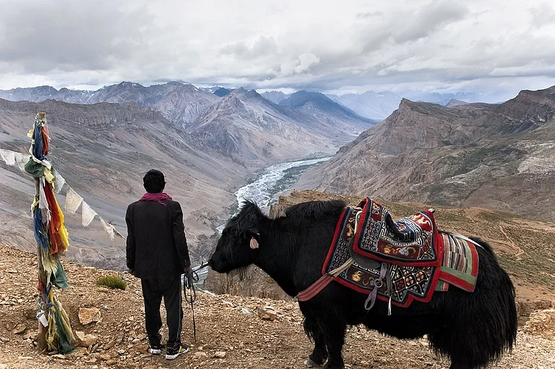 A yak ride