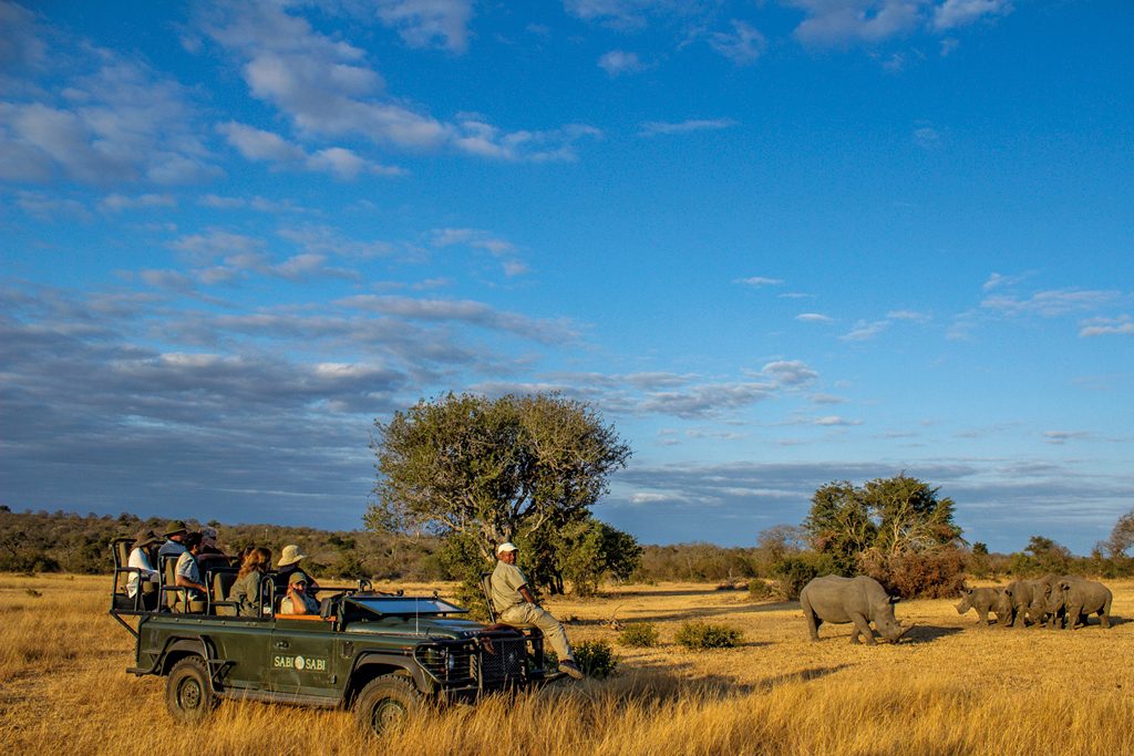 Rhino sightings are common while on a safari