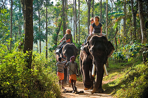 Elephant Safari in Periyar Wildlife Sanctuary