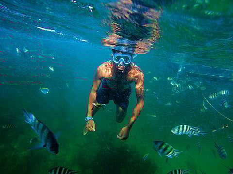 Snorkelling in the depths of the sea