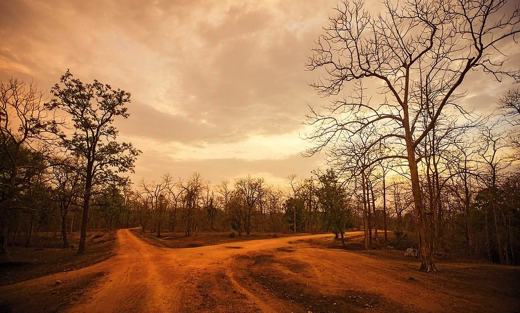 Pench Tiger Reserve