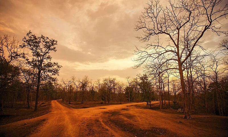 Pench Tiger Reserve