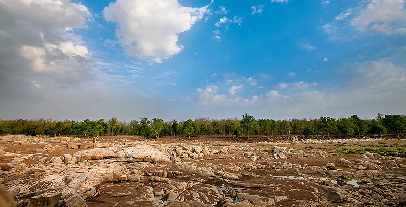The bone-dry Pench river