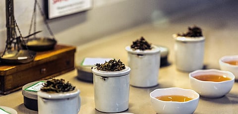 Tea tasting is quite a ritual