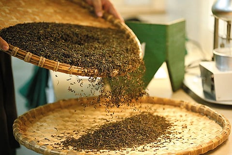 The tea leaves being sorted