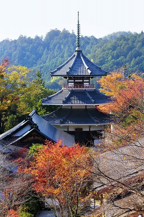 Kinpusen-ji temple
