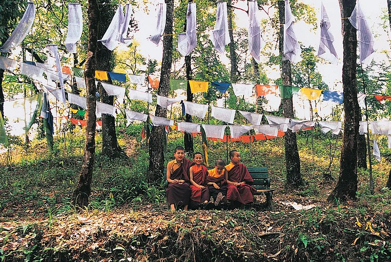 Explore Gangtok for a peaceful hideaway